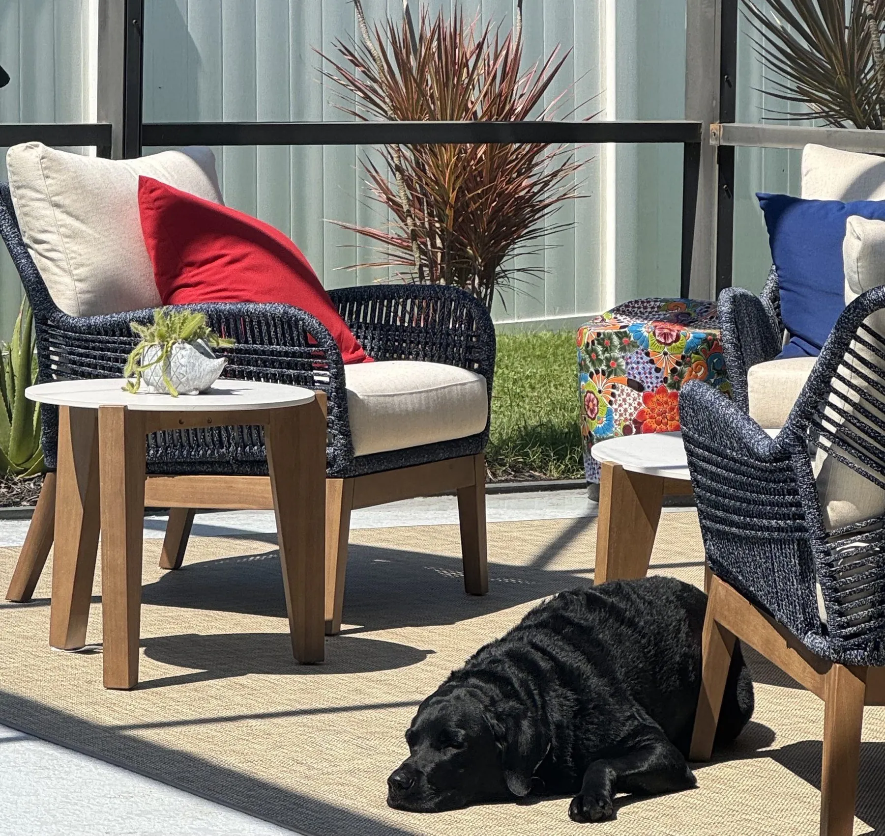 Infinity outdoor rug with patio chairs and a dog relaxing in the sun